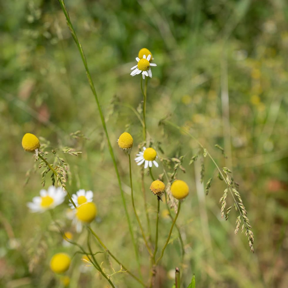 Natur erleben Natur erleben
